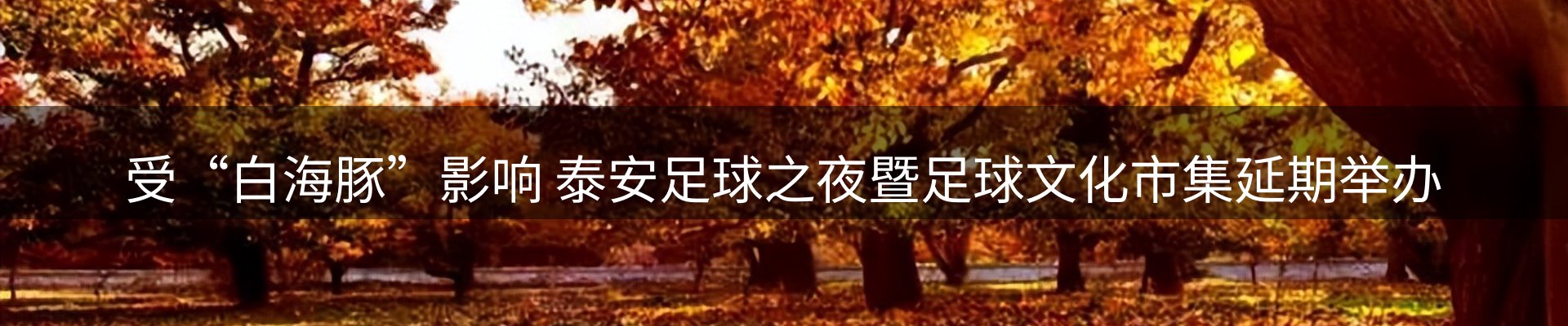 品牌资讯