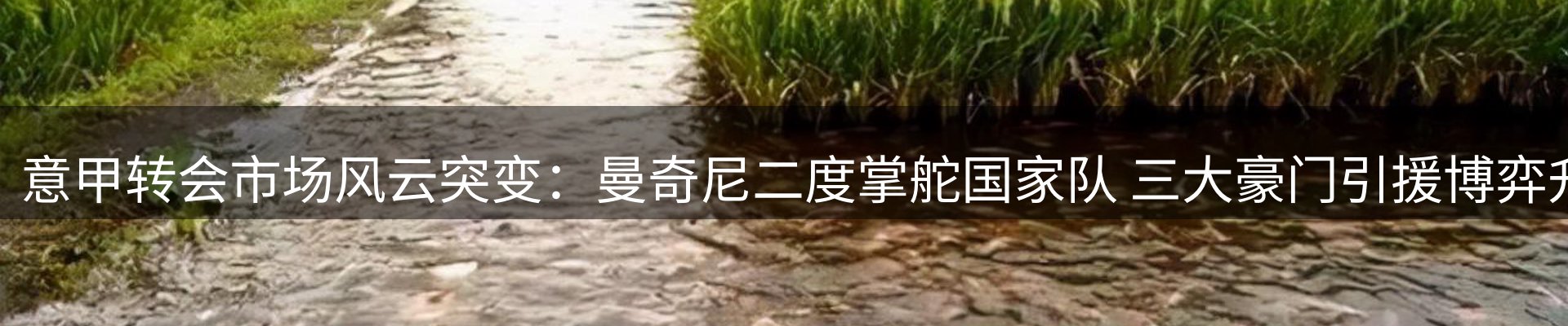 品牌资讯