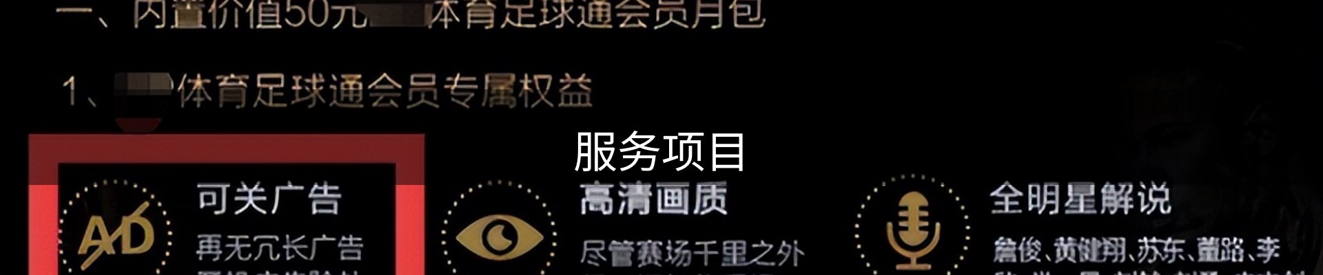 服务项目