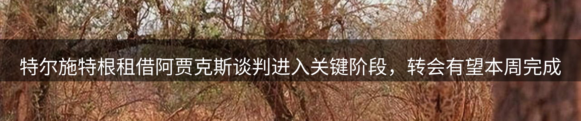 品牌资讯